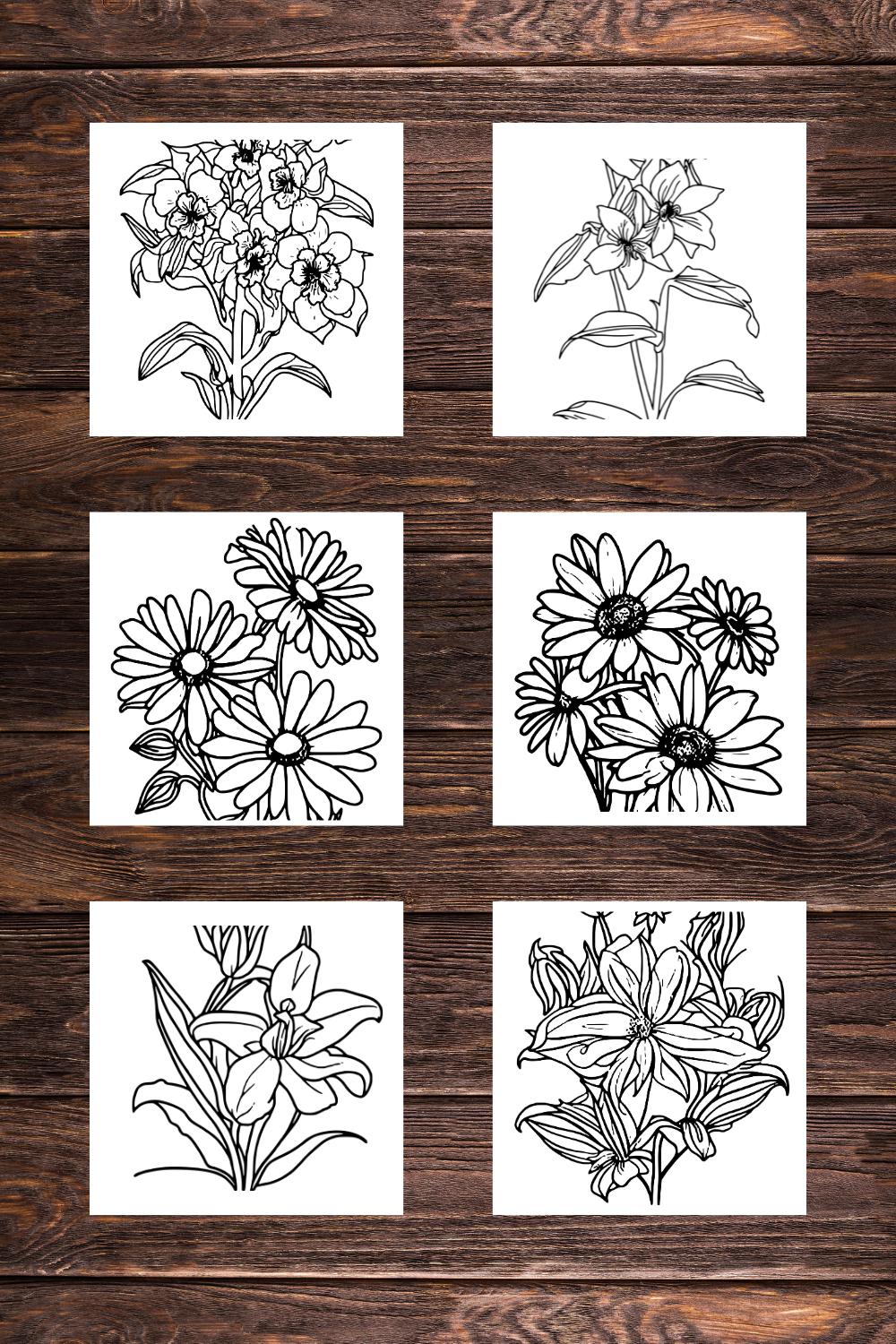 6 Flower Drawing Floral Coloring Pages bundle For Adults (SVG and PNG ) for KDP low content self-publishing pinterest preview image.