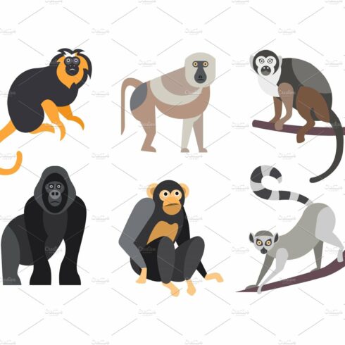 Collection of monkeys, different cover image.