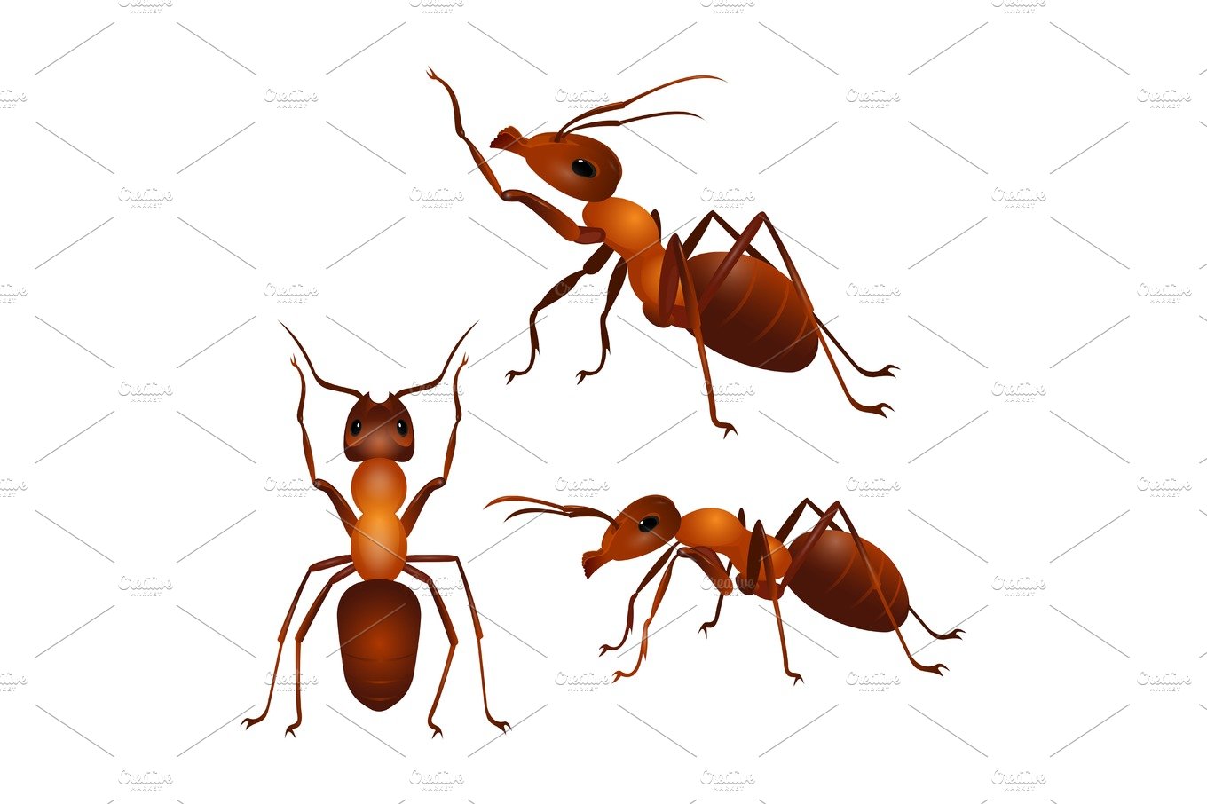 Set of ants with two antennas and six legs in different poses. Vector cover image.