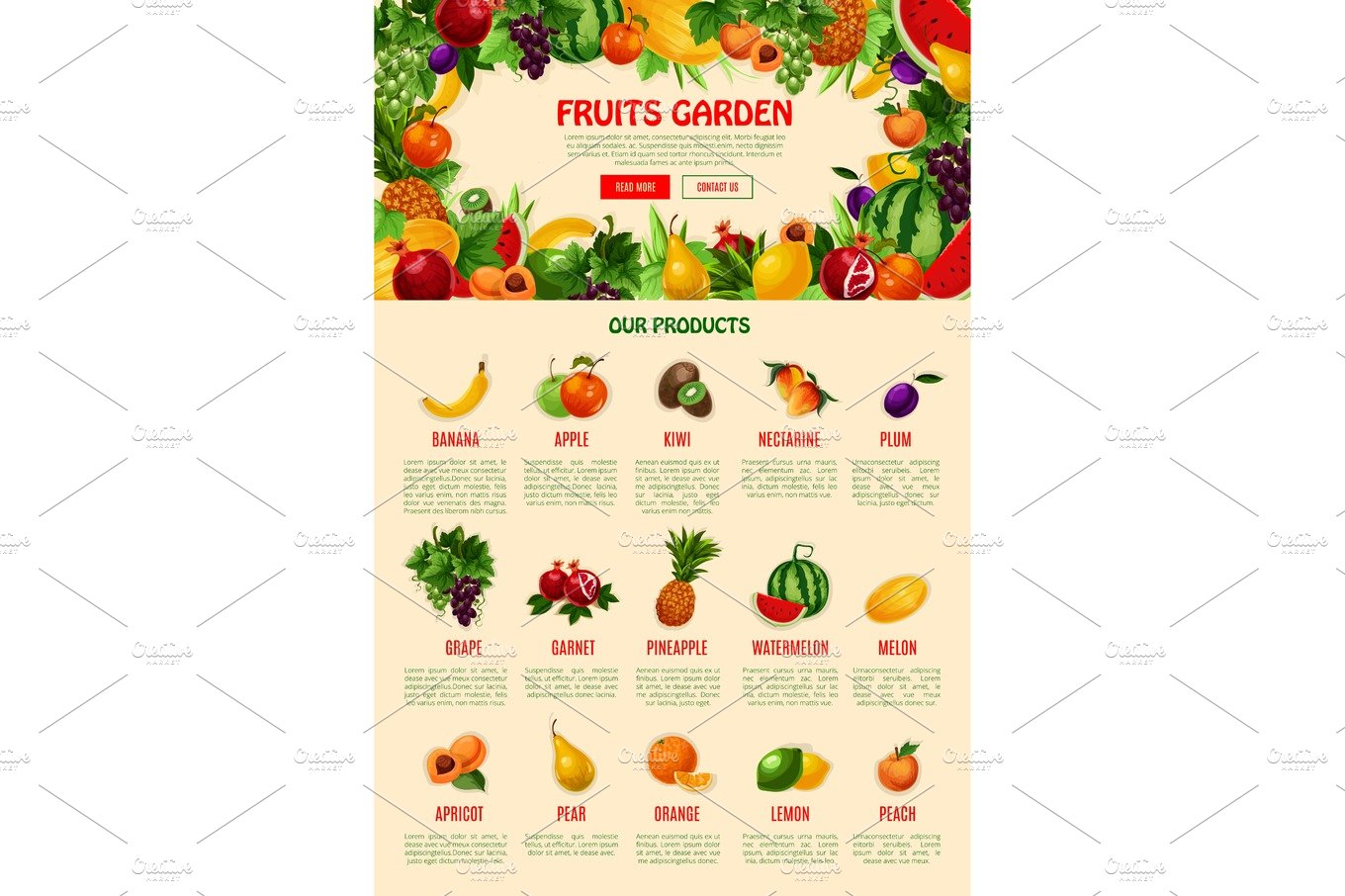 Vector landing web page template for fruit shop cover image.