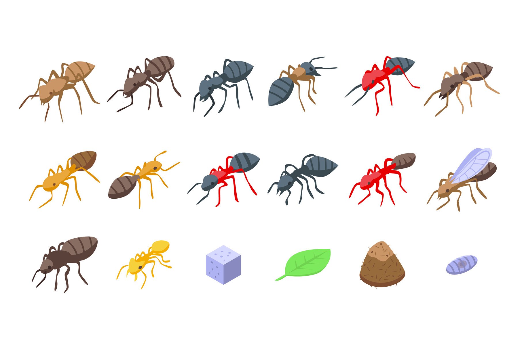 Ant icons set, isometric style cover image.