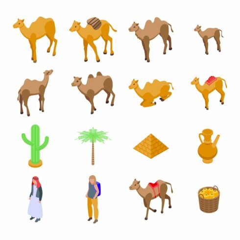 Camel icons set, isometric style cover image.