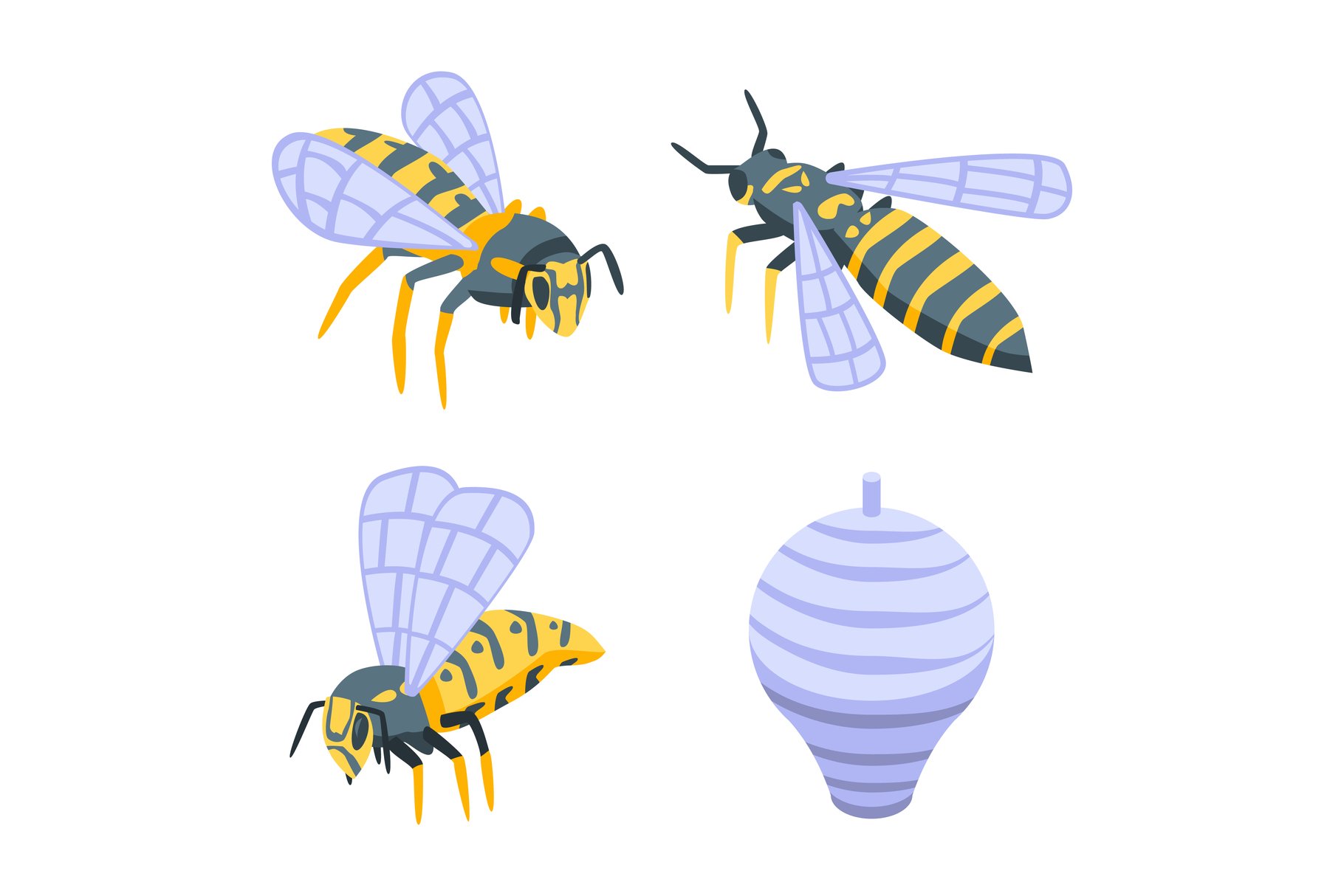 Wasp icons set, isometric style cover image.