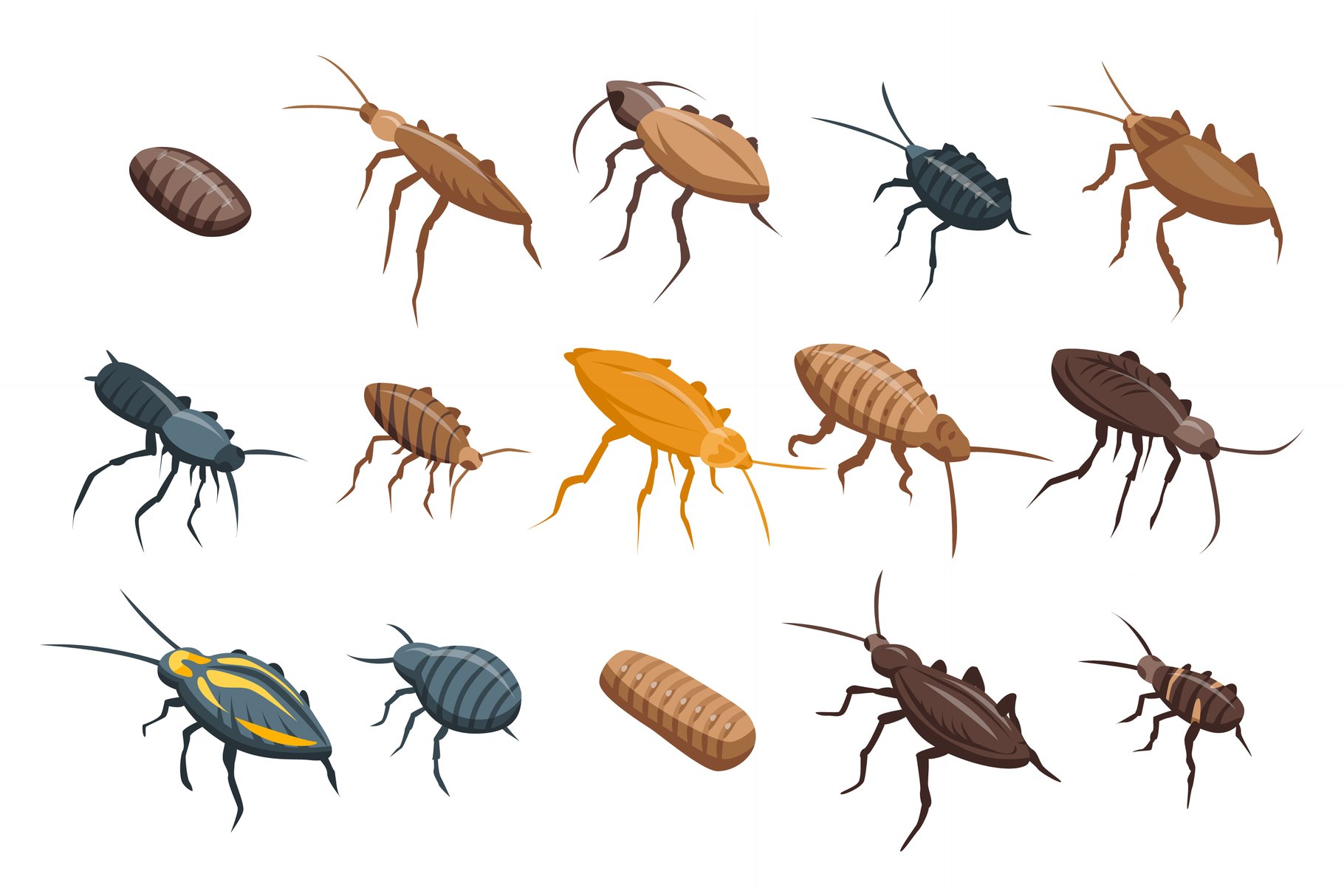 Cockroach icons set, isometric style cover image.