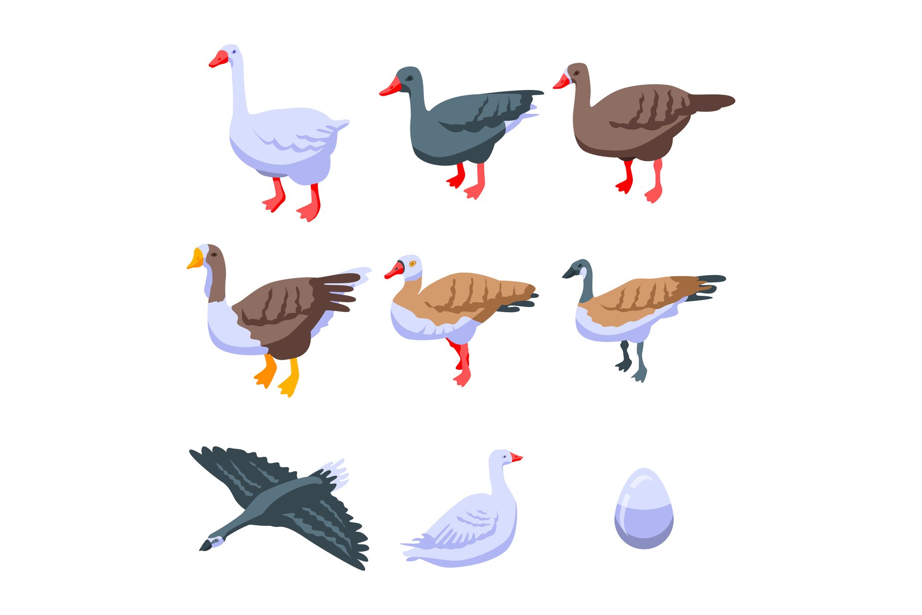 Goose icons set, isometric style cover image.