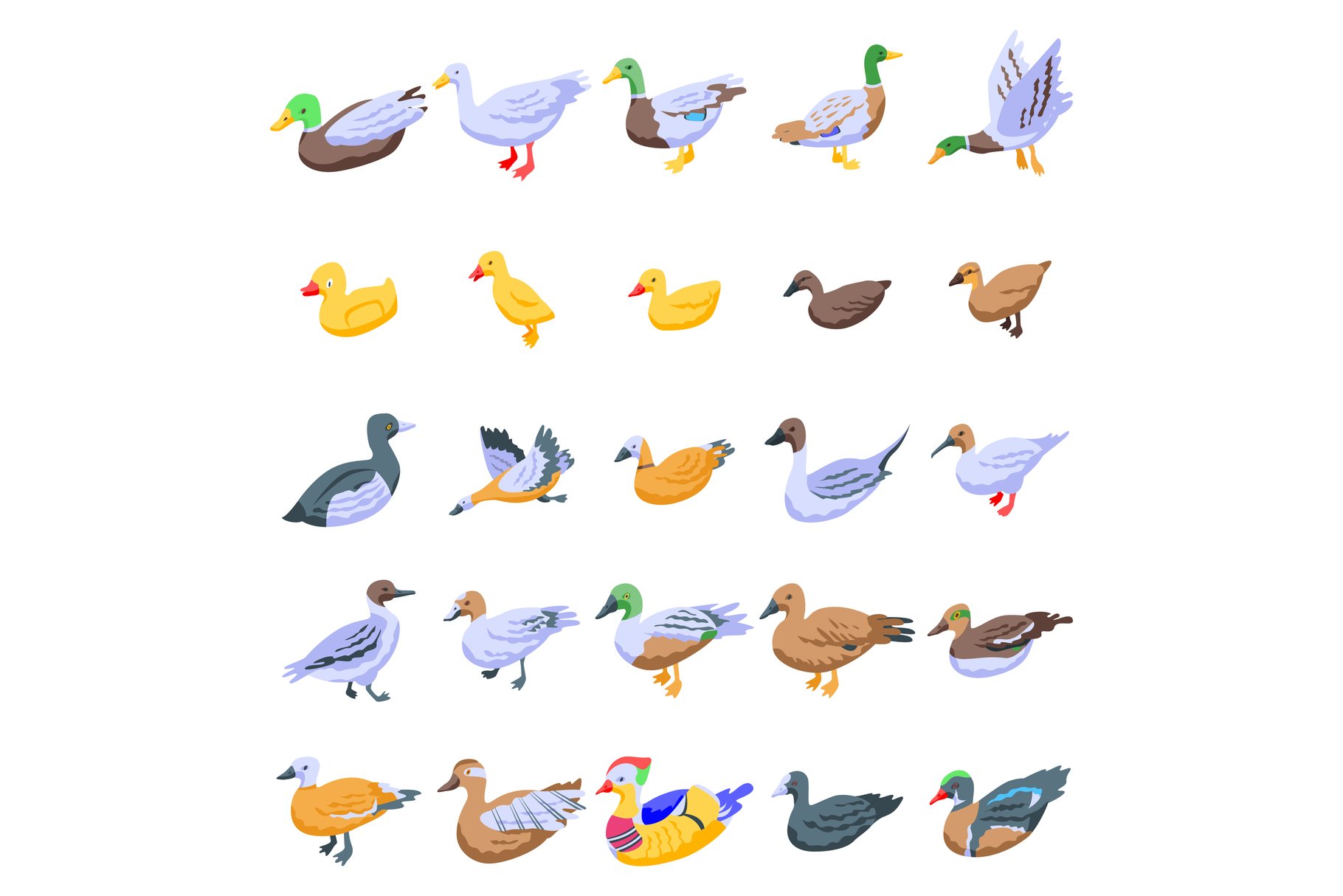 Duck icons set, isometric style cover image.