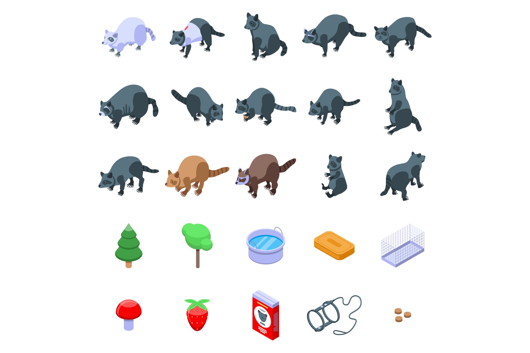 Raccoon icons set, isometric style cover image.