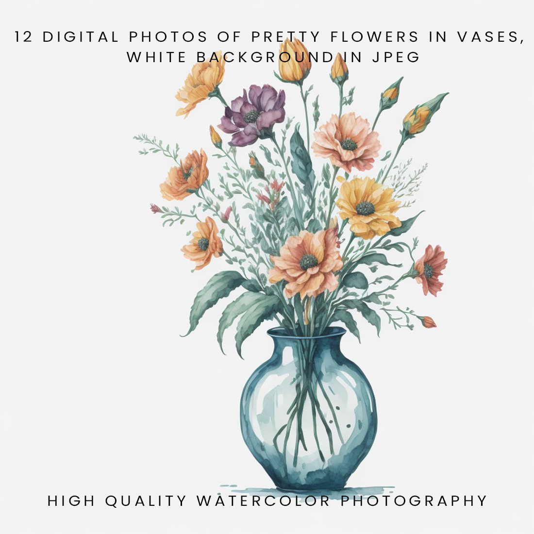 12 Digital Photos of Flowers cover image.