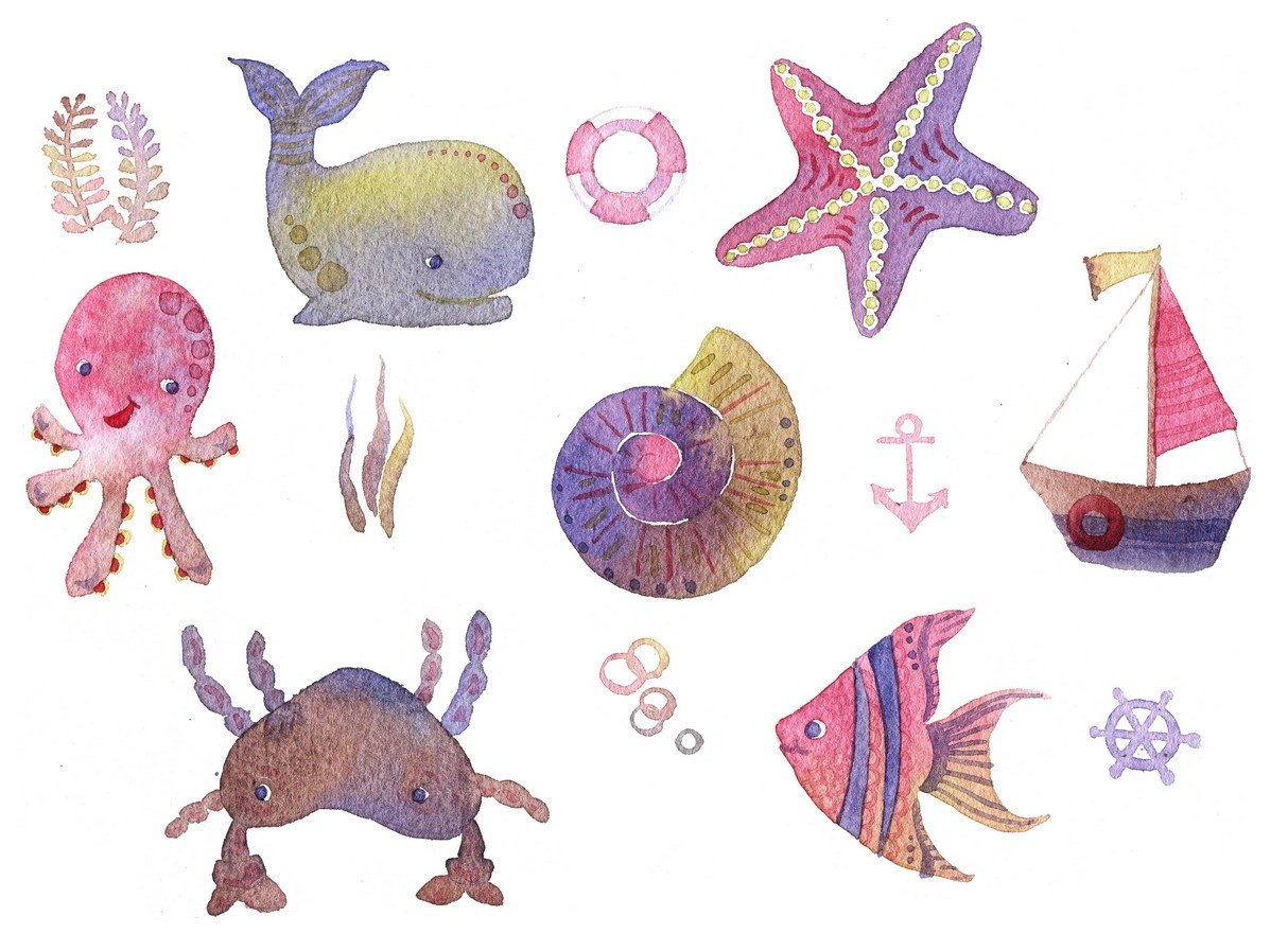 Set of seaweed and sea creatures preview image.