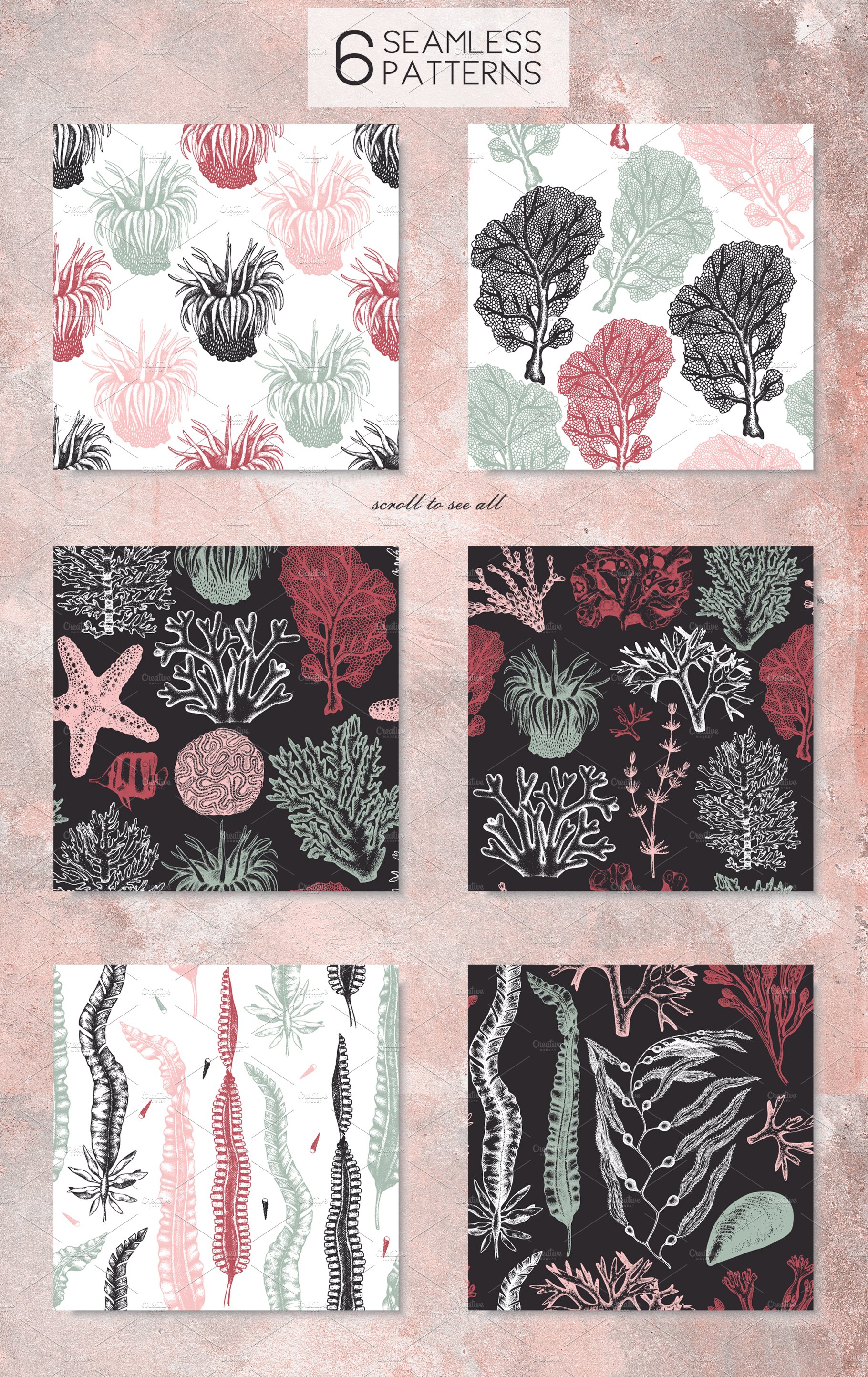 vector seaweeds collection 06 58