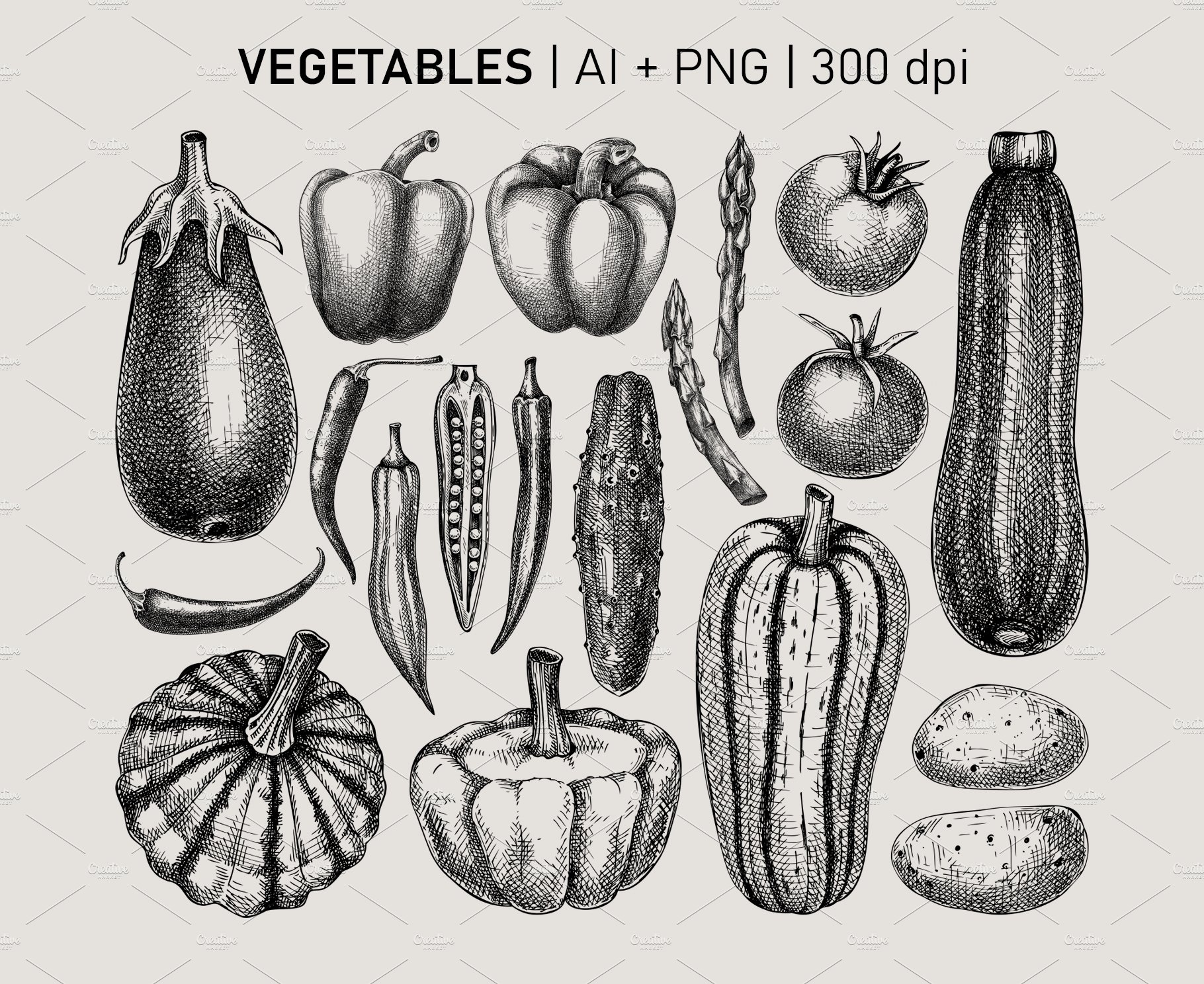 vegetables and herbs collection 01 16