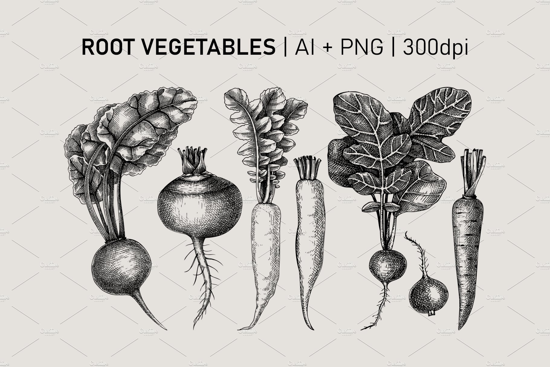 vegetables and herbs collection 04 973