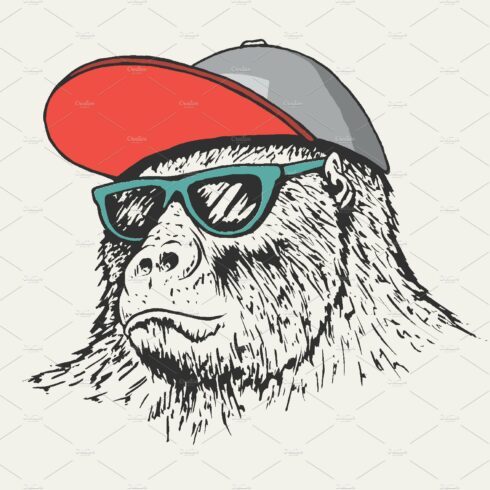 gorilla wearing a cap and sunglasses cover image.