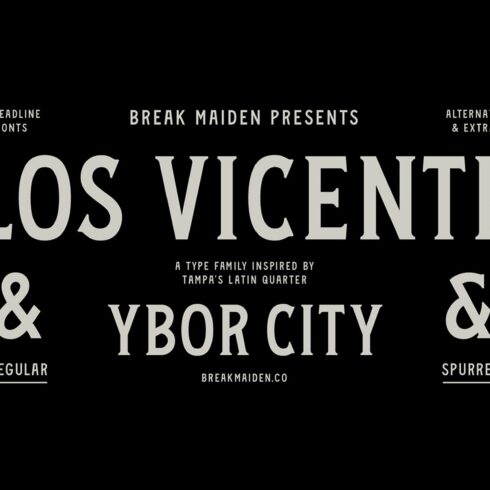 Vicente Font Family cover image.