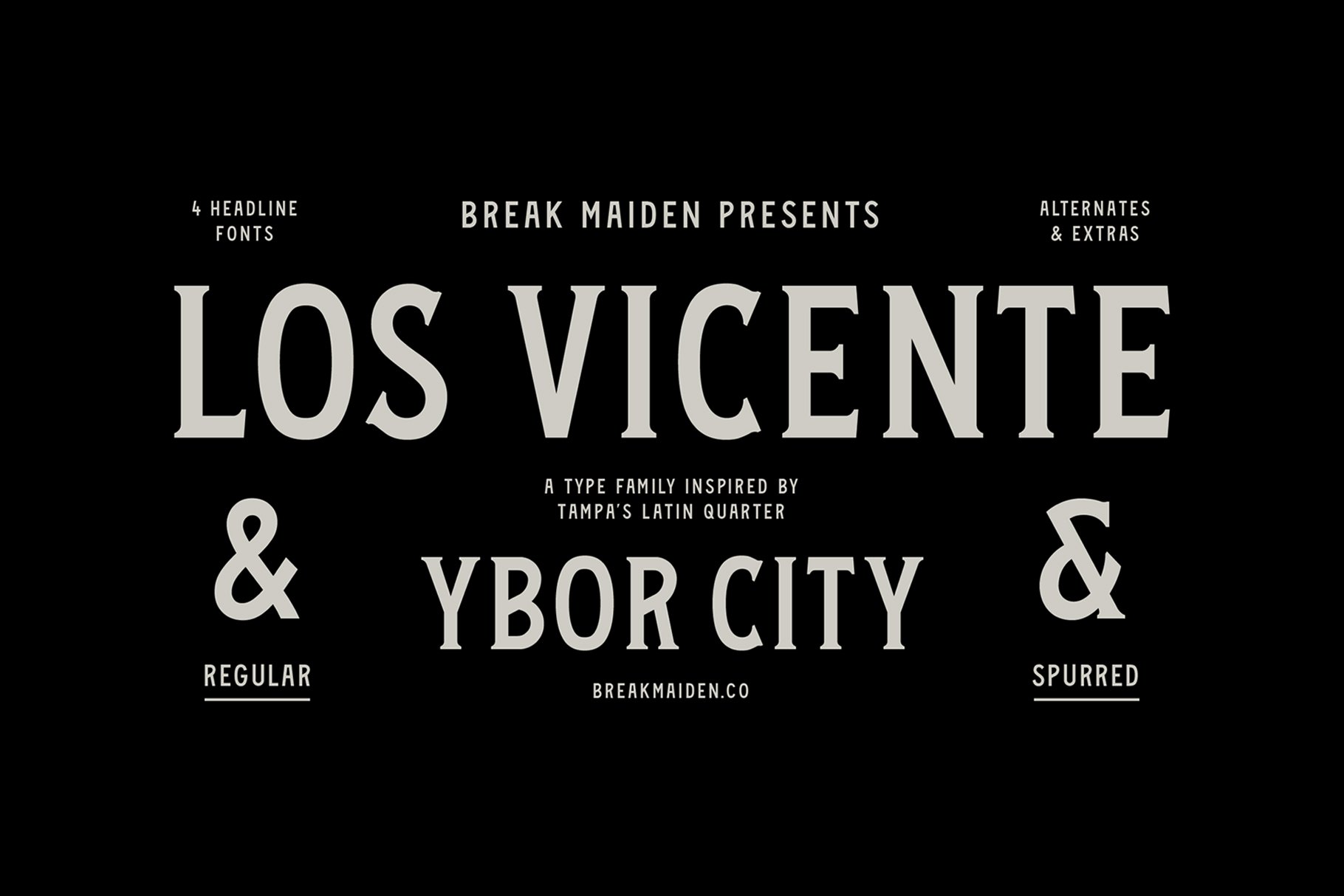 Vicente Font Family cover image.