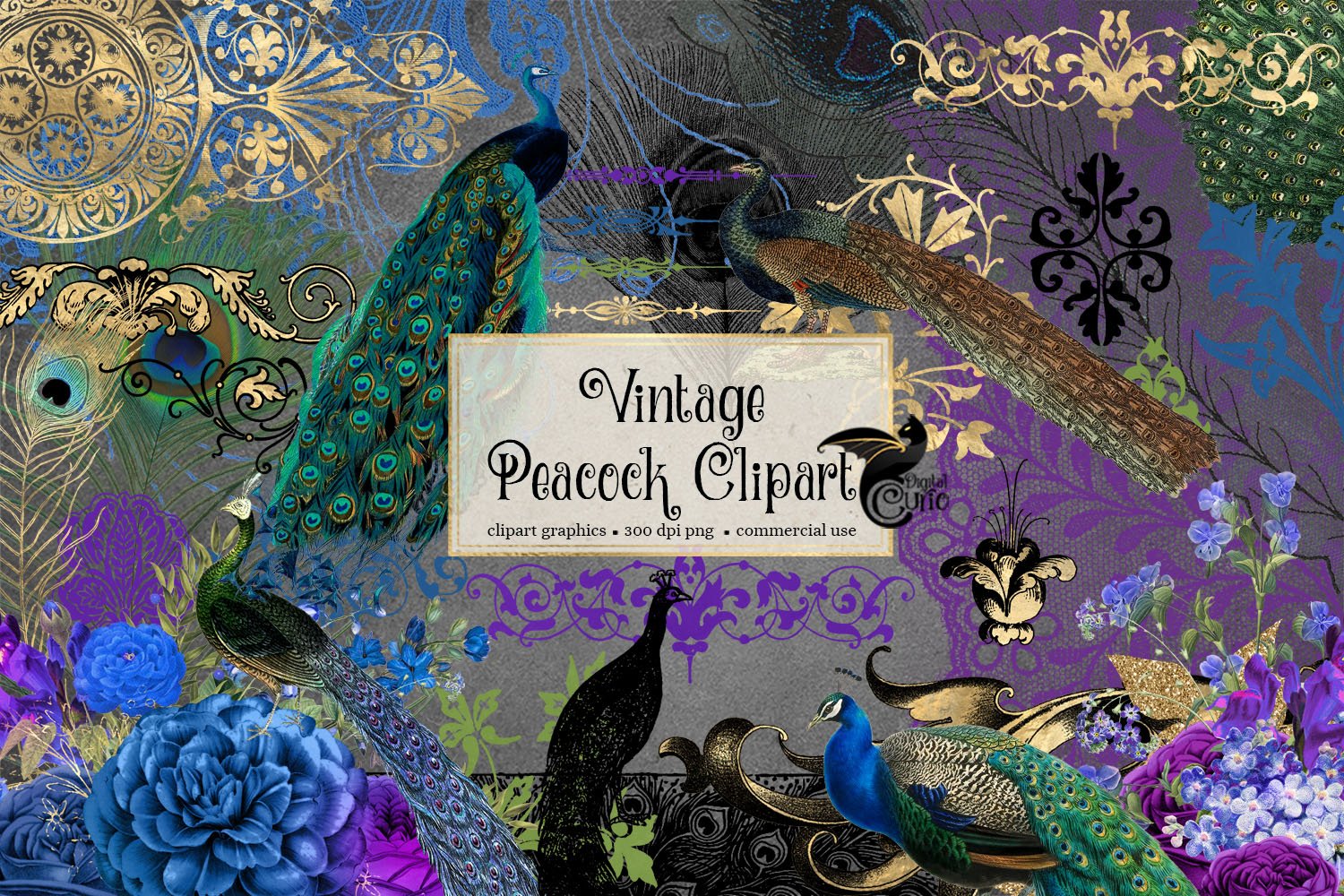 Vintage Peacock Clipart preview image.