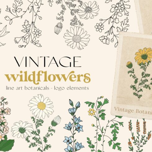 Wildflowers Botanical Logo Elements cover image.