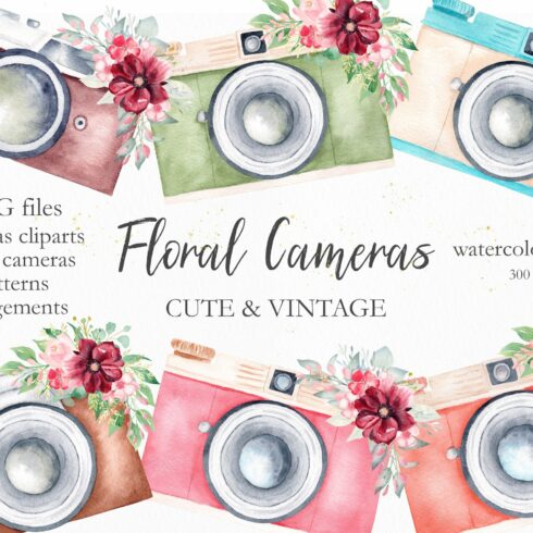 Watercolor Vintage Cameras Set cover image.