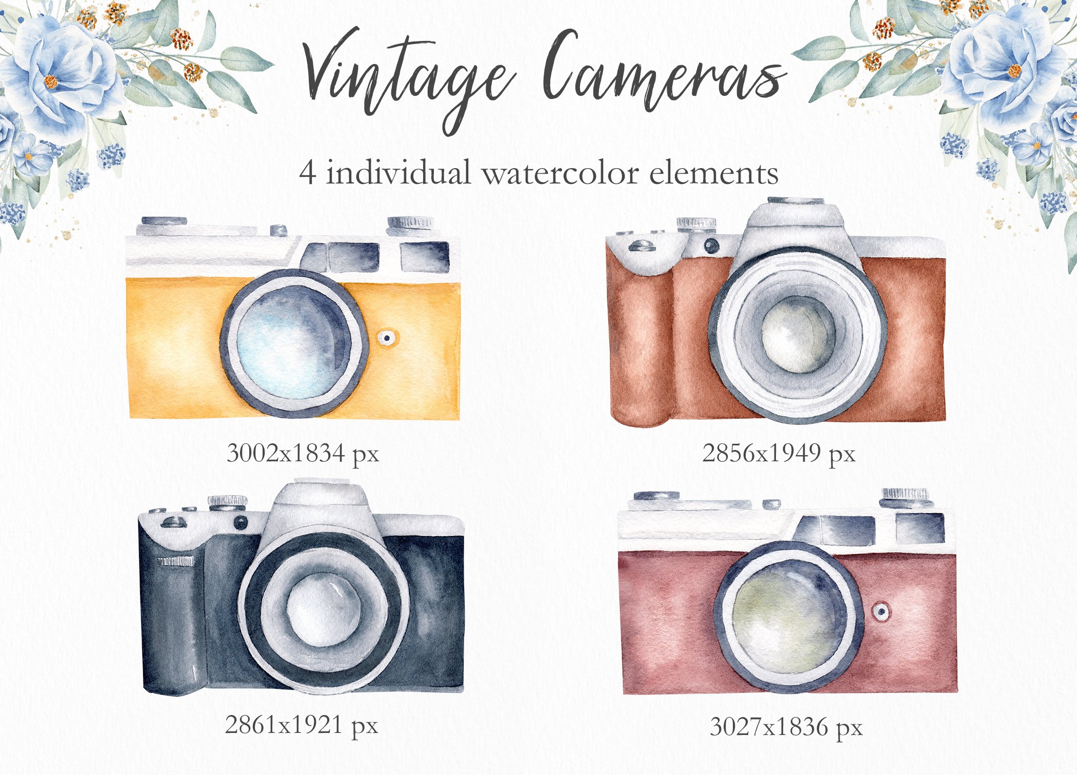 Watercolor Vintage Cameras Set preview image.