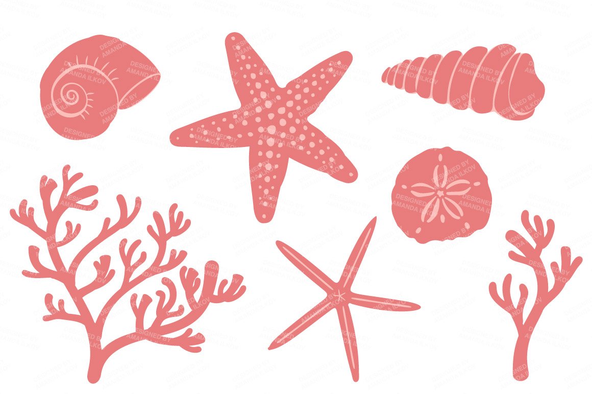 vintagegirlshellsandcoral package 9 462
