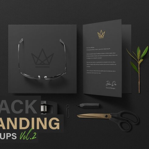 Black Branding Mockups Vol.2 cover image.