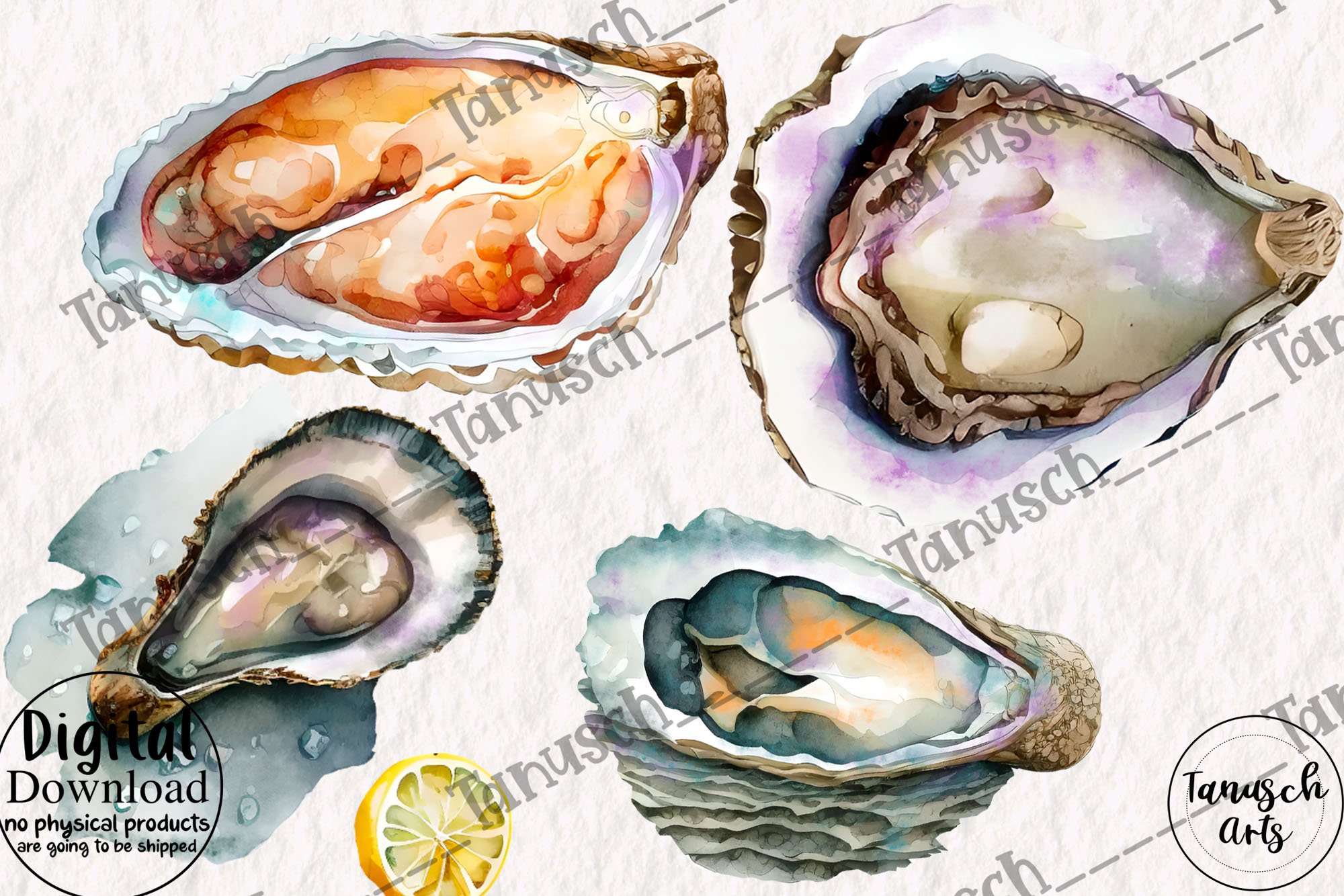 Watercolor oysters clipart preview image.