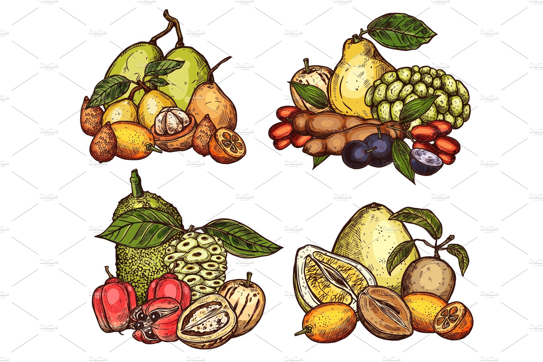 Vector exotic tropical fruits cover image.