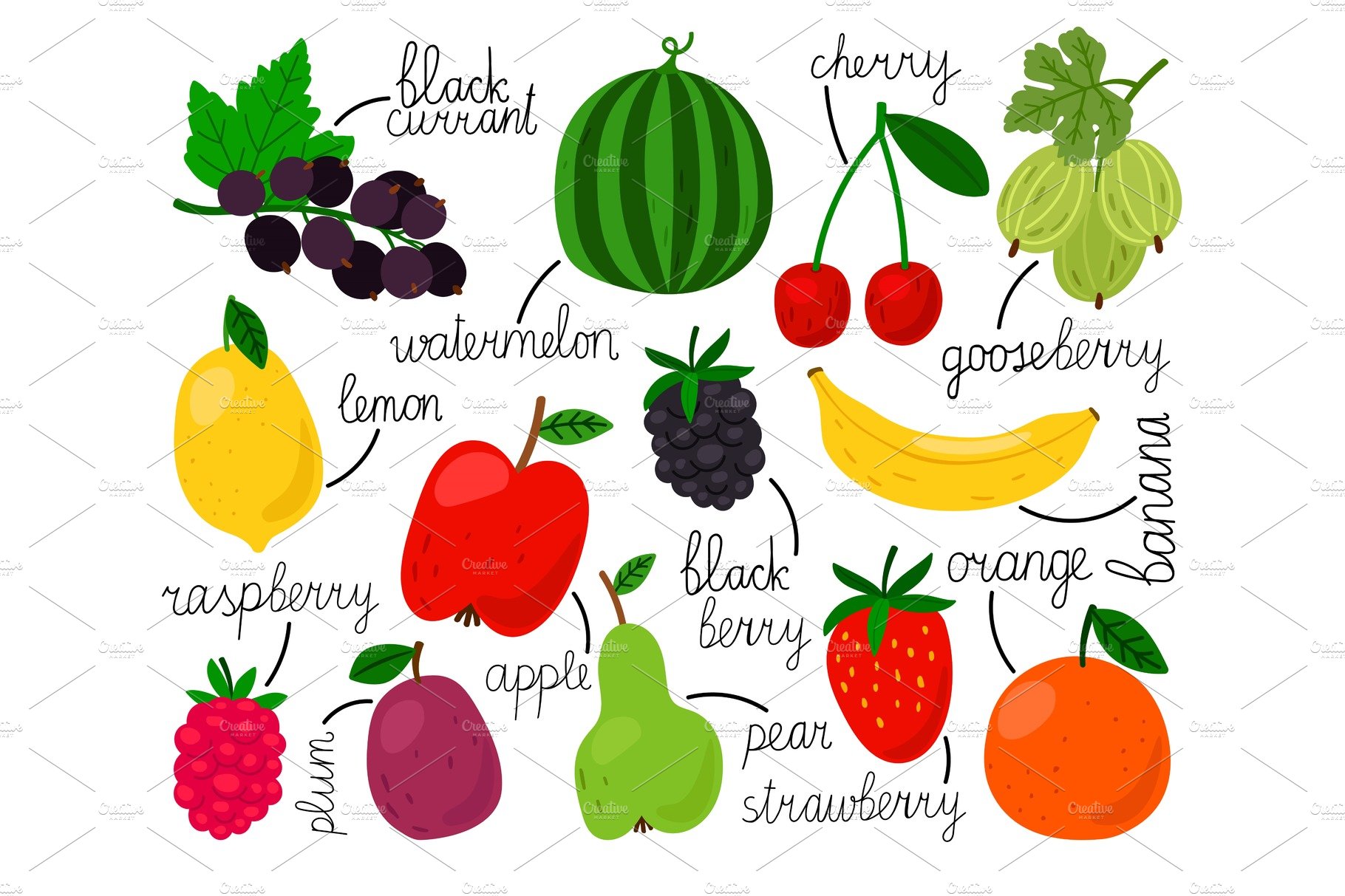 Hand drawn fruits collection cover image.