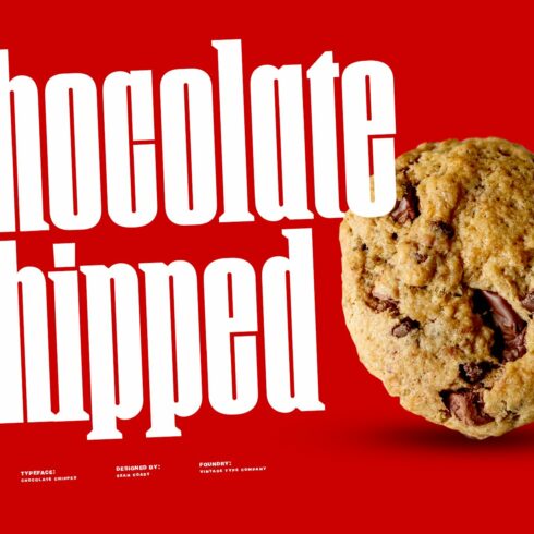 Chocolate Chipped Display Font cover image.
