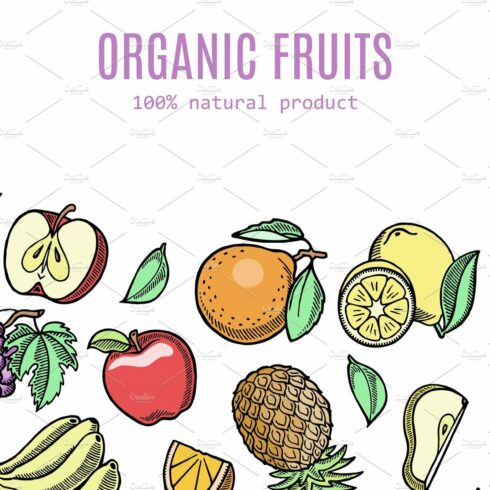 Organic eco fruits vector cover image.