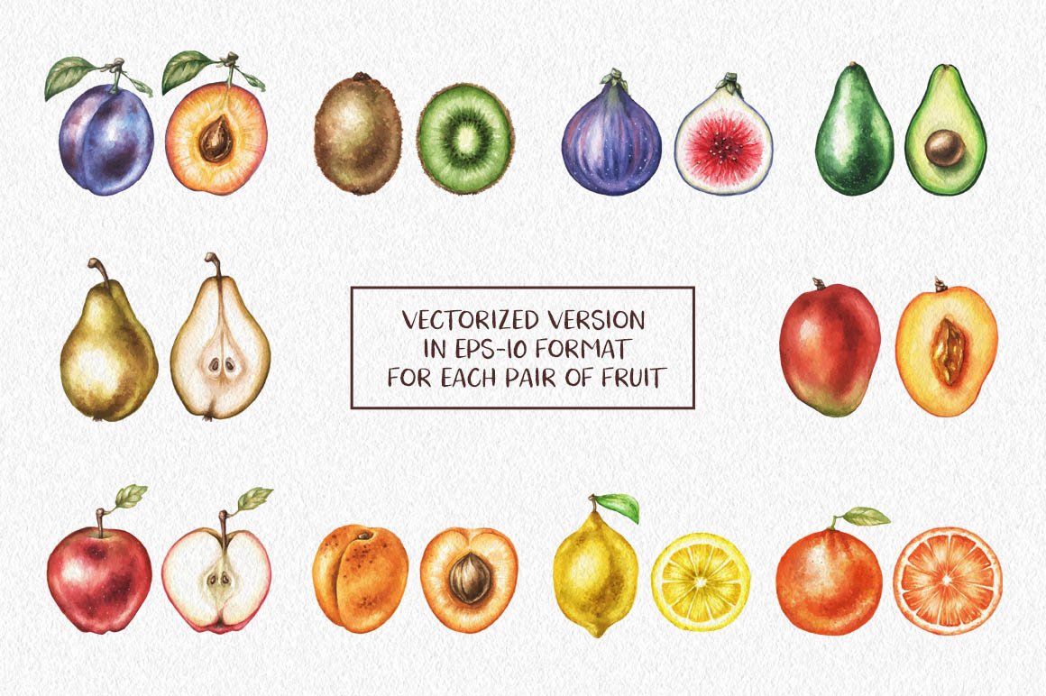 watercolor fruits pr 3 491