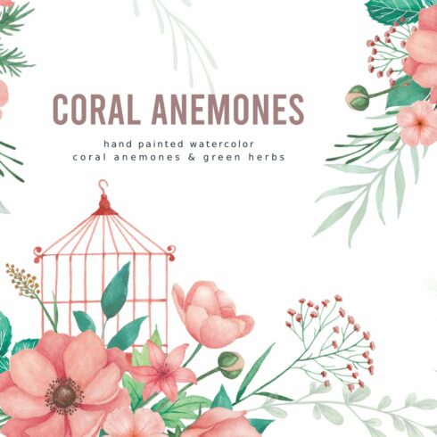 Coral Anemones - Watercolor cover image.