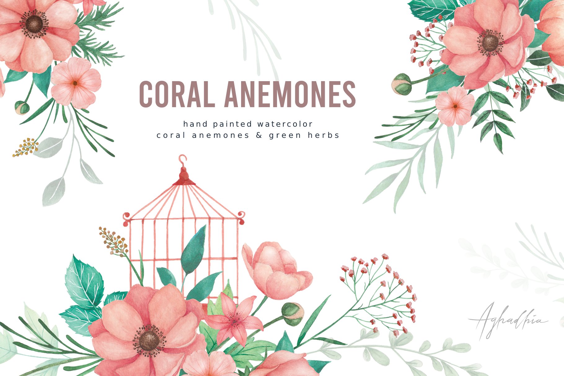 Coral Anemones - Watercolor cover image.