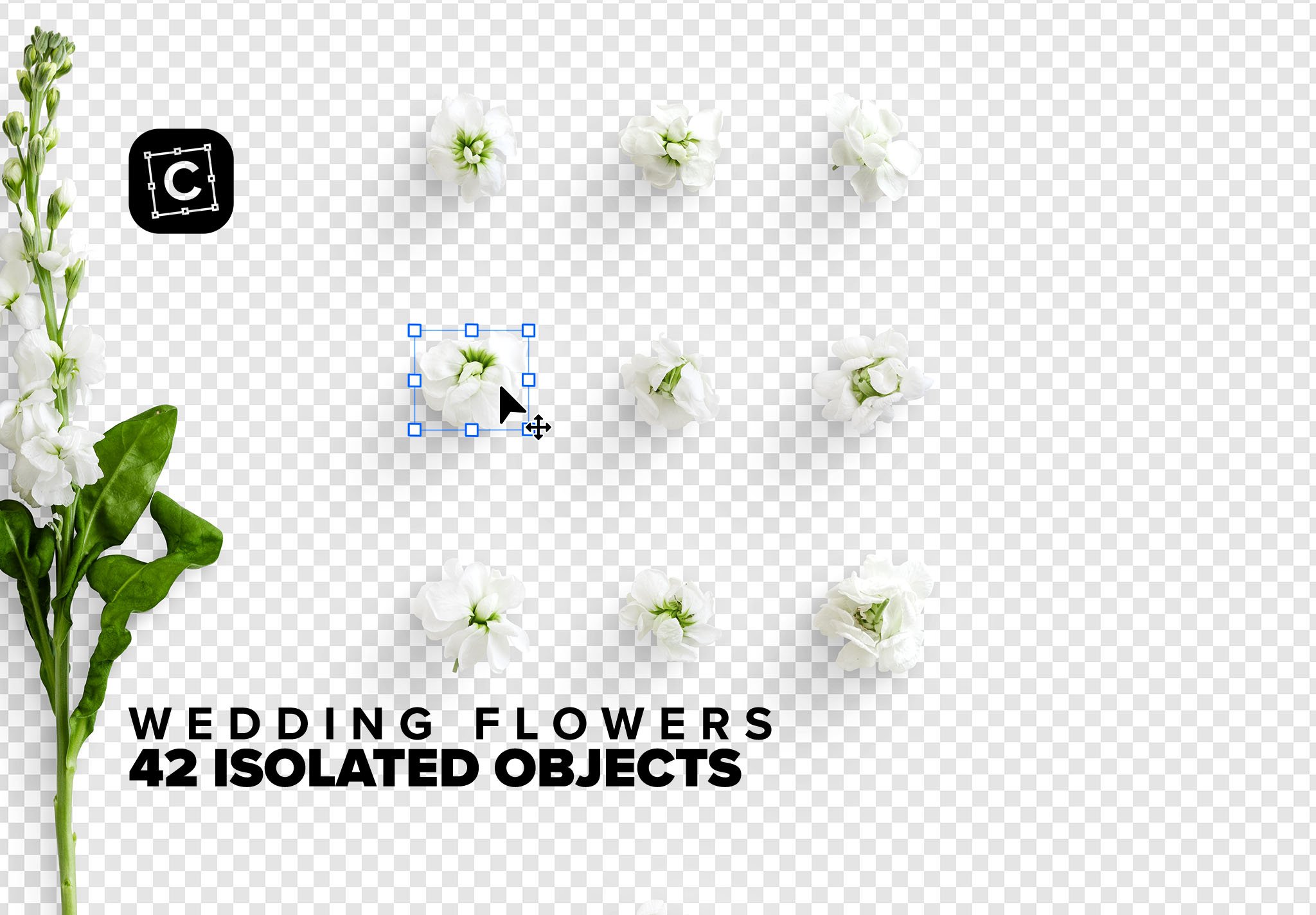 wedding flowers 03 isolated objects 187