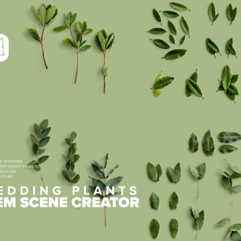 Wedding Plants Scene Creator cover image.