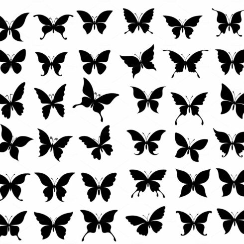 Butterflies and moth silhouettes cover image.
