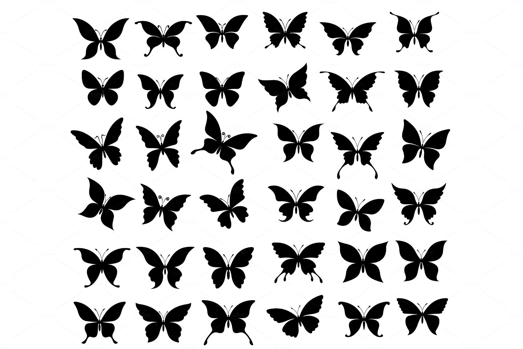 Butterflies and moth silhouettes cover image.