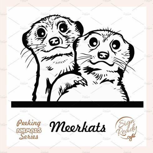 Peeking Friendly Meerkat family - cover image.