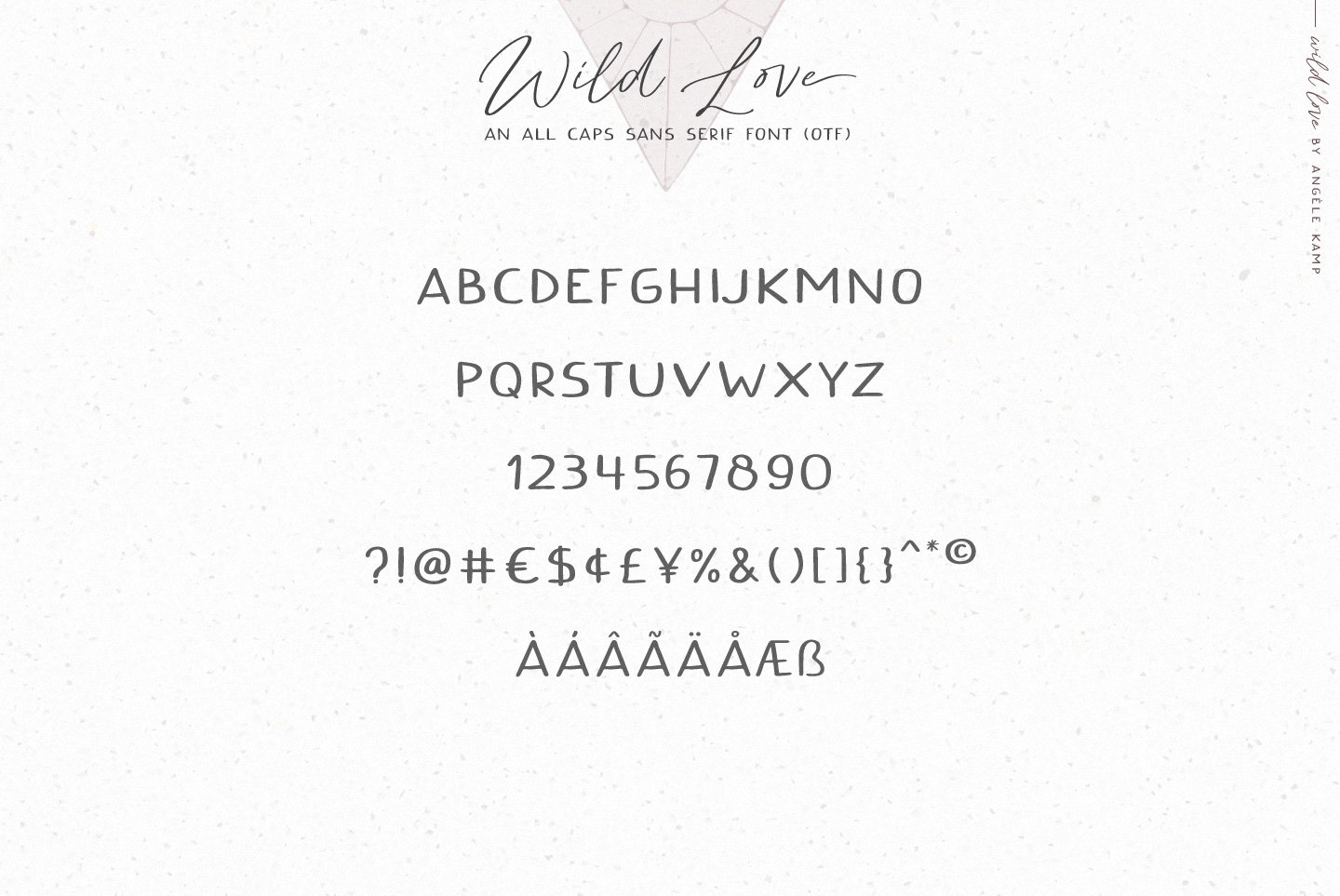 Wild Heart // Lovely Script Font  Handwriting Fonts ~ Creative Market