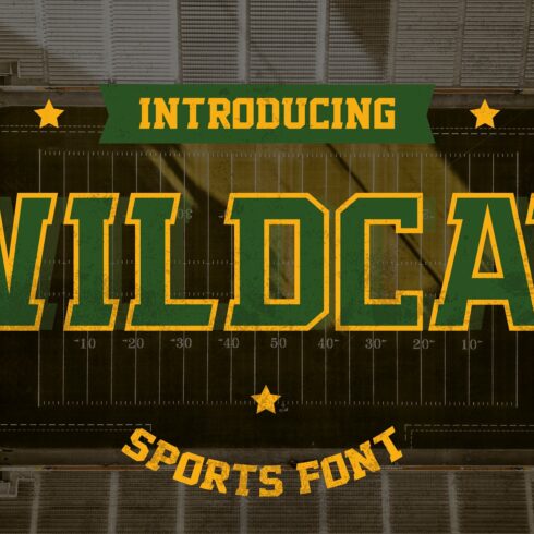 Wildcat - Varsity Sport Typeface cover image.