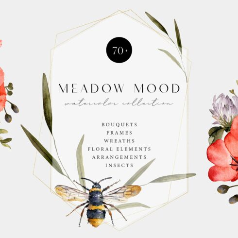 Meadow Mood. Wildflower collection cover image.