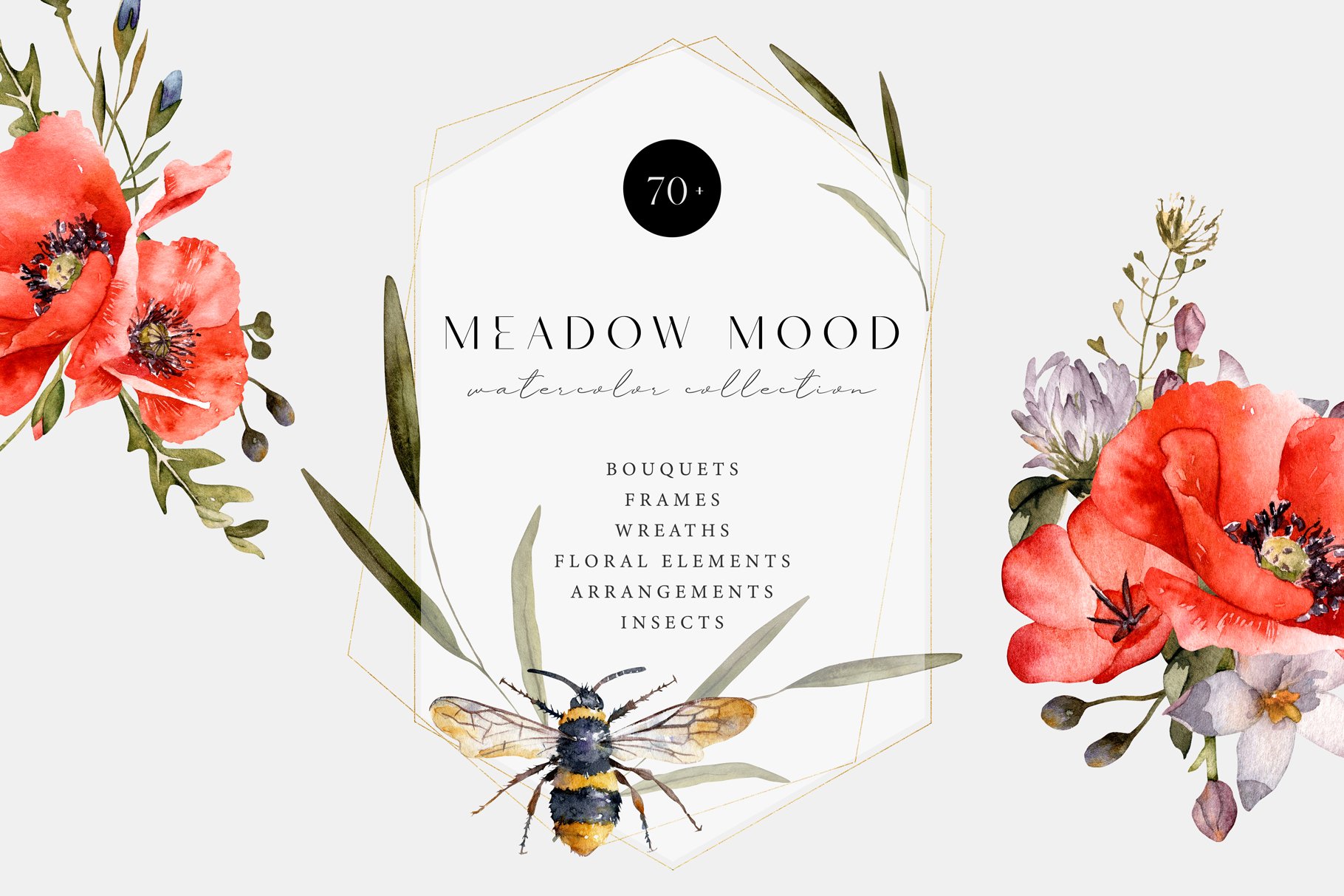 Meadow Mood. Wildflower collection cover image.