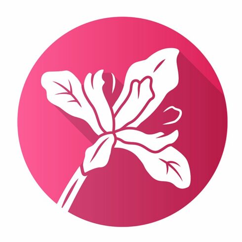Douglas iris plant pink glyph icon cover image.