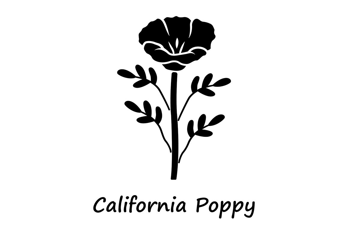 California poppy glyph icon cover image.