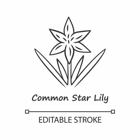 Common star lily linear icon cover image.