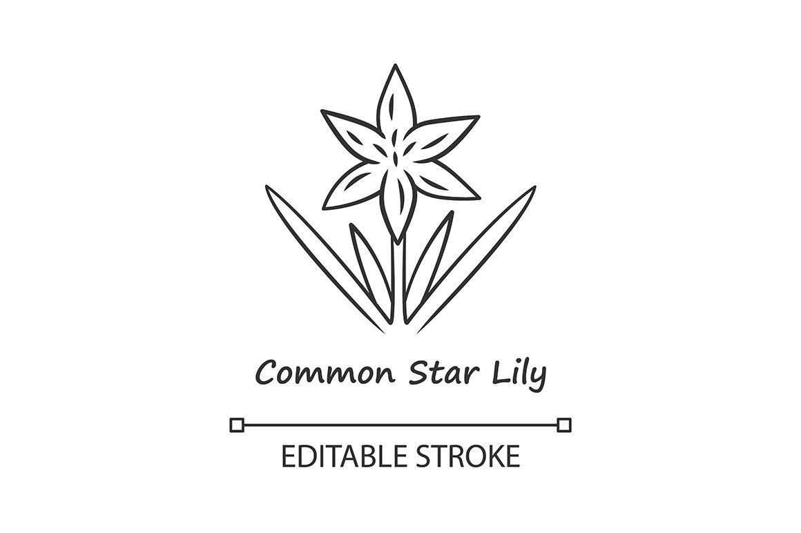 Common star lily linear icon cover image.