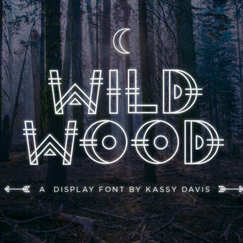 Wild Wood Font + Extras cover image.