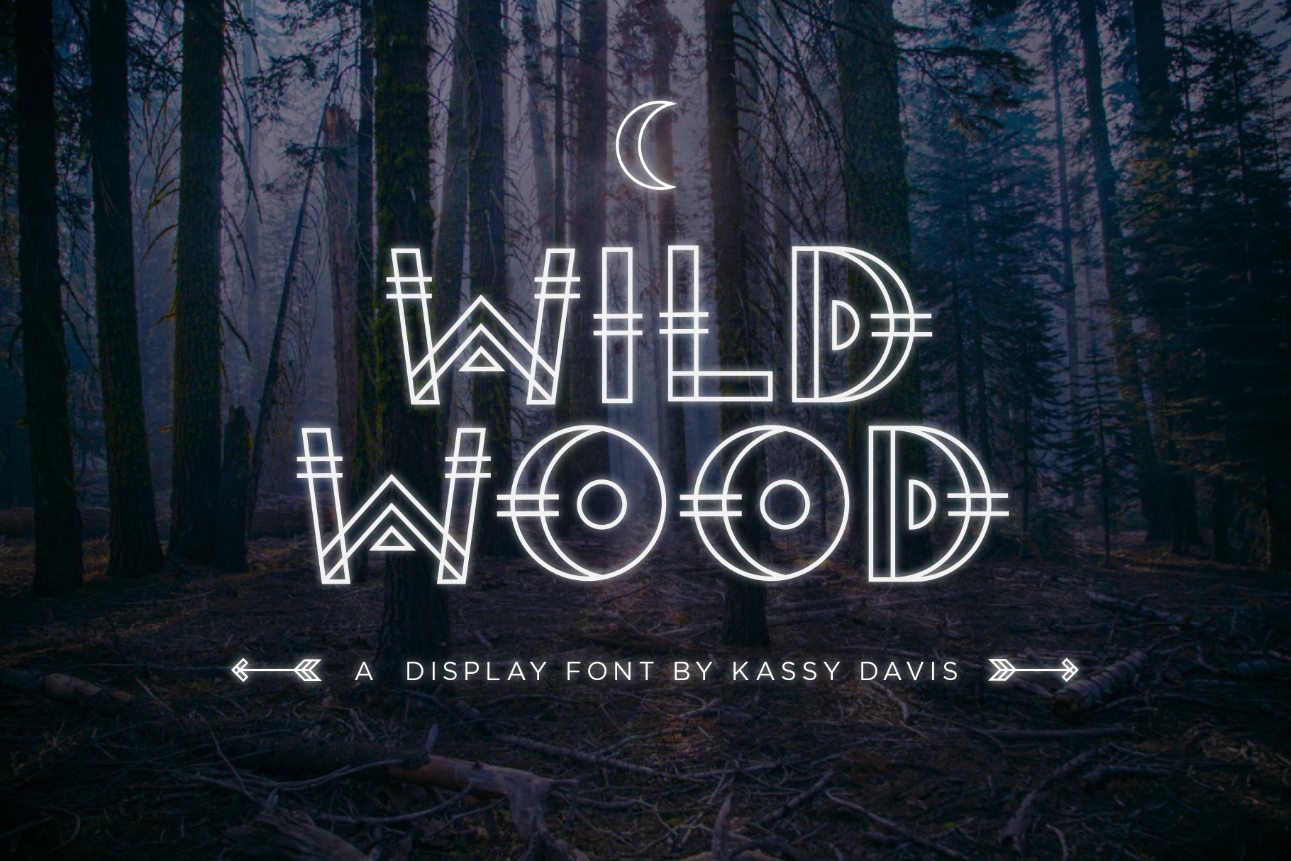 Wild Wood Font + Extras cover image.