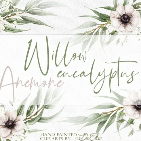 Eucalyptus Anemone Illustration cover image.