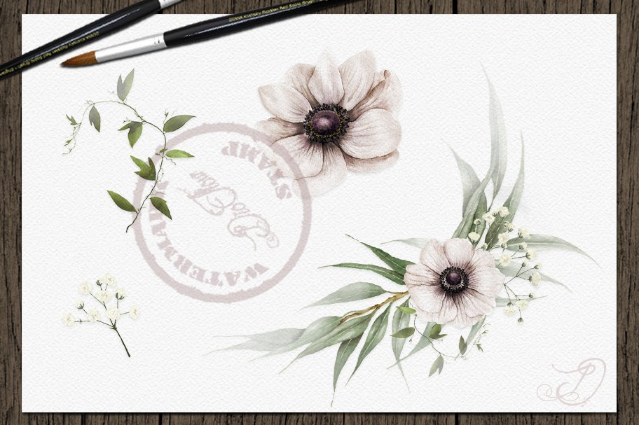 Eucalyptus Anemone Illustration preview image.